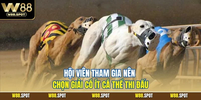 Cá Cược Đua Chó W88 | Thủ Thuật Vào Tiền Hiệu Quả 2025 4 Hội viên tham gia nên chọn giải có ít cá thể thi đấu